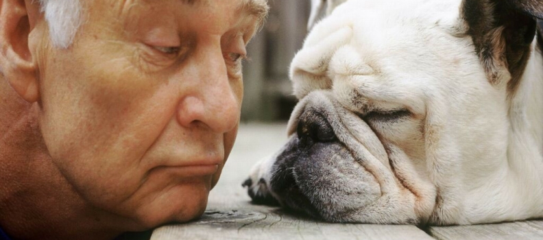 Os benefícios da convivência de idosos com animais de estimação